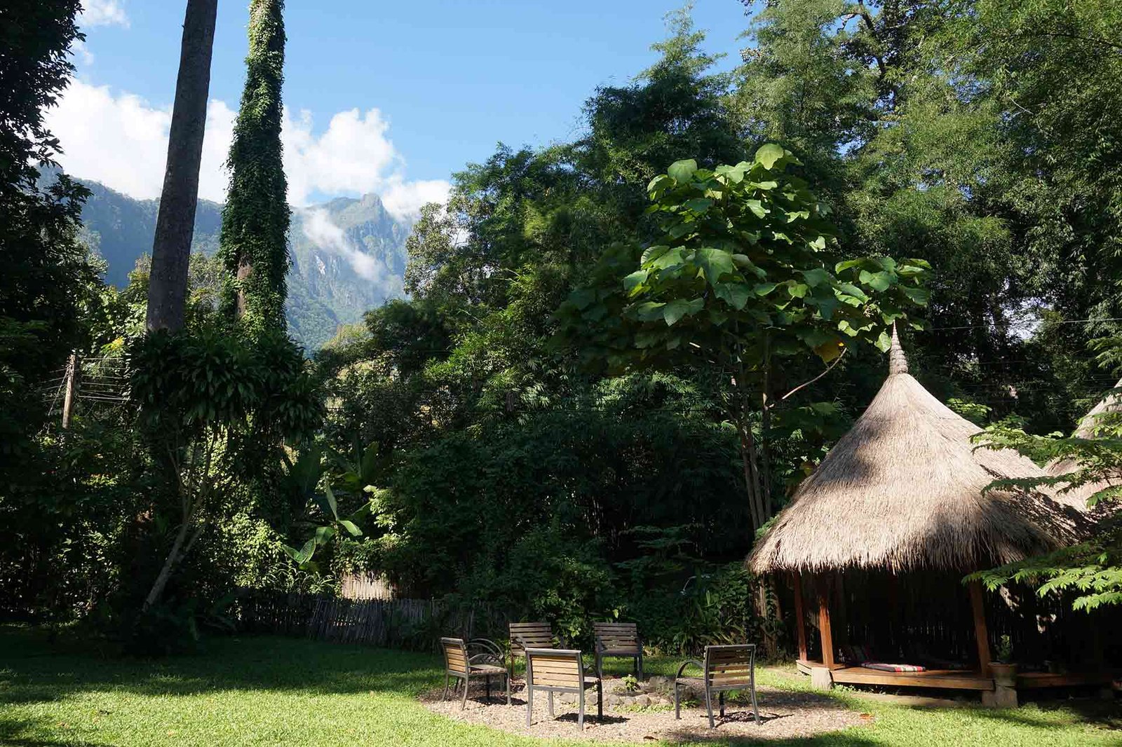 chiang dao nest 2