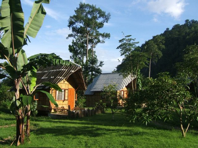 Cabins at Nest 1