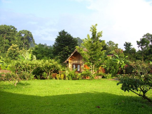 Cabin at Nest 1